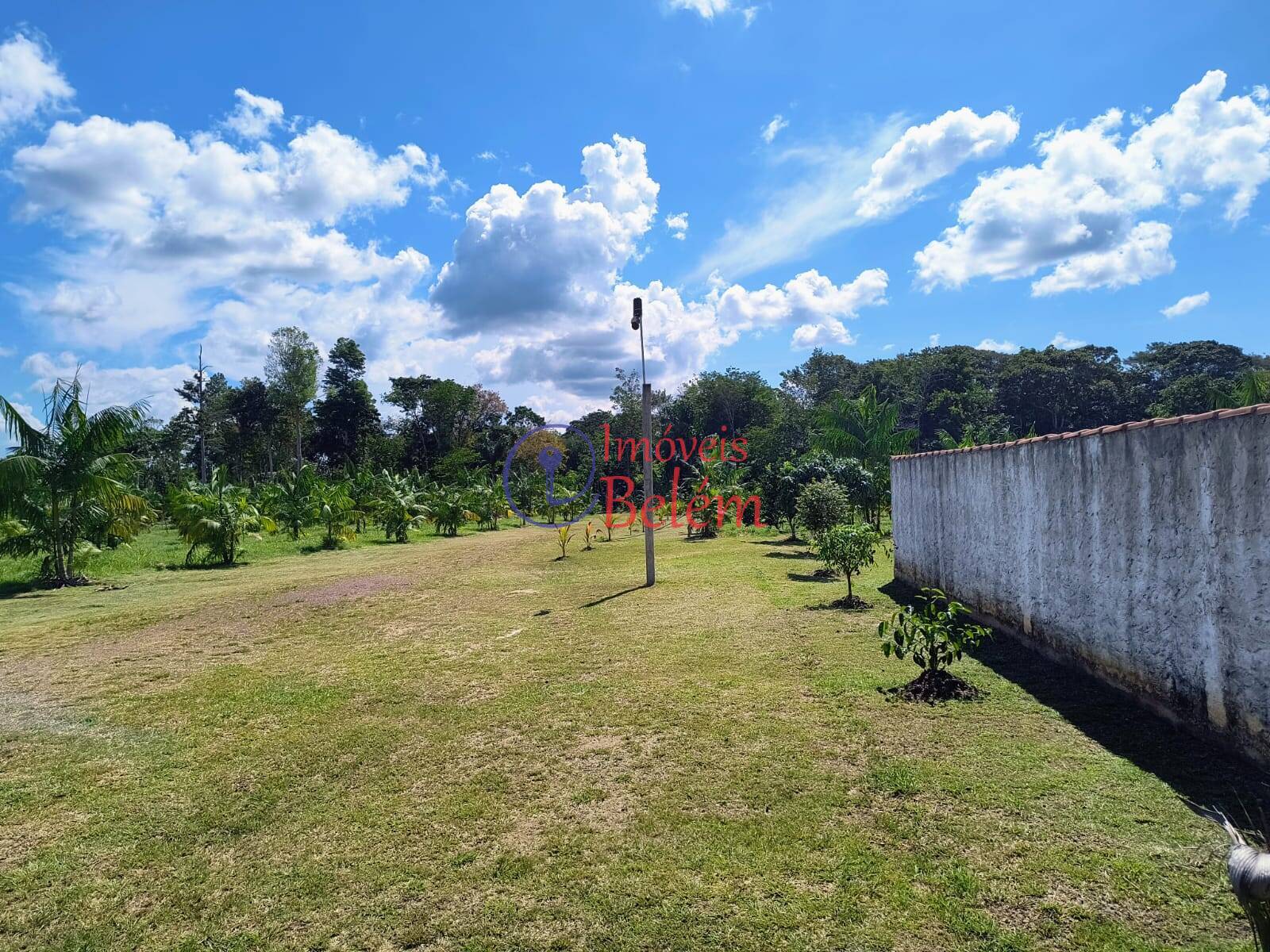 Fazenda à venda com 2 quartos, 200000m² - Foto 25