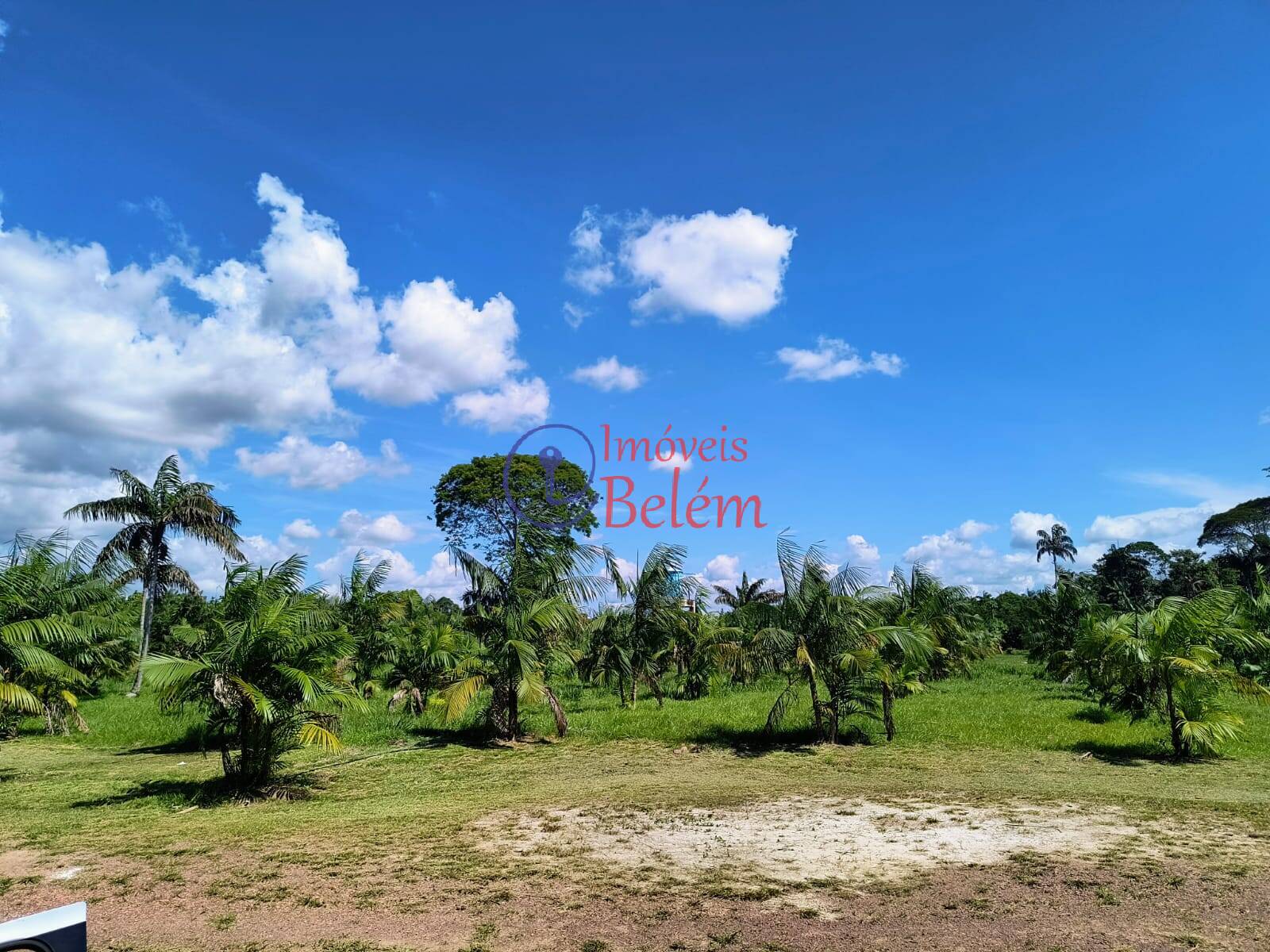 Fazenda à venda com 2 quartos, 200000m² - Foto 27