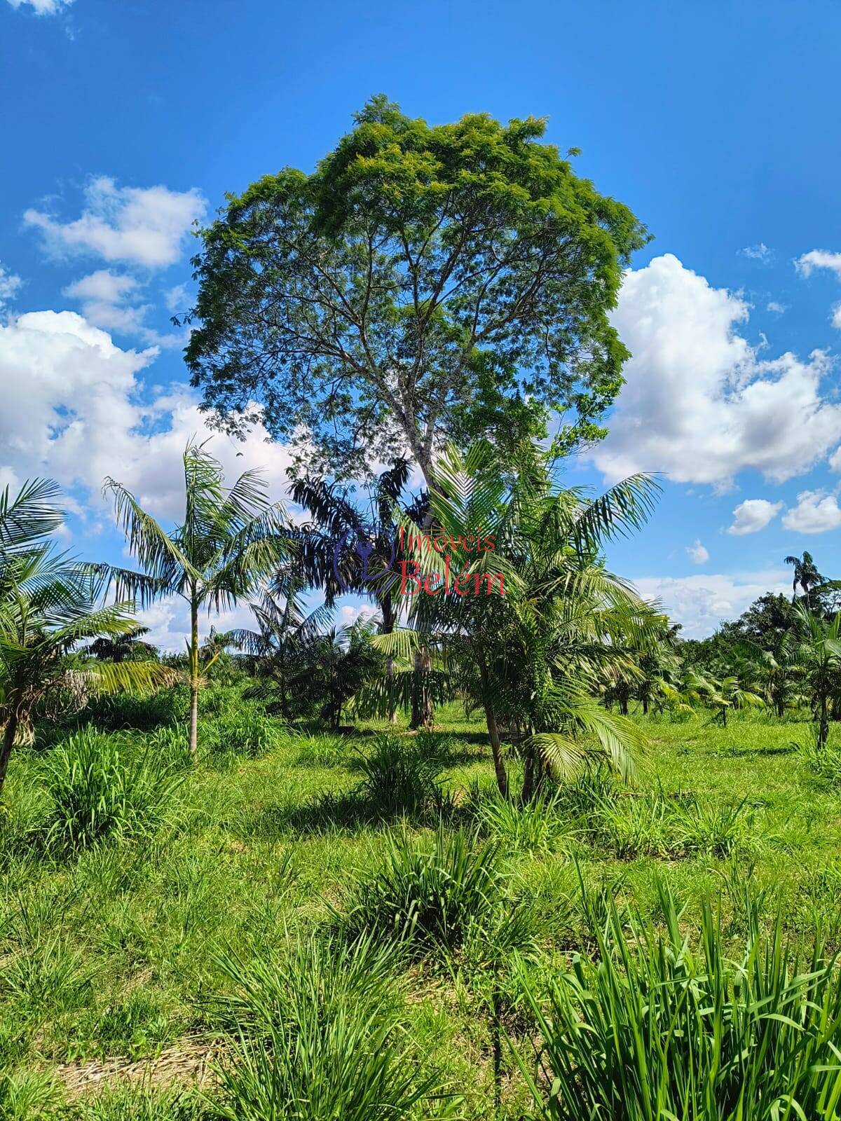 Fazenda à venda com 2 quartos, 200000m² - Foto 19